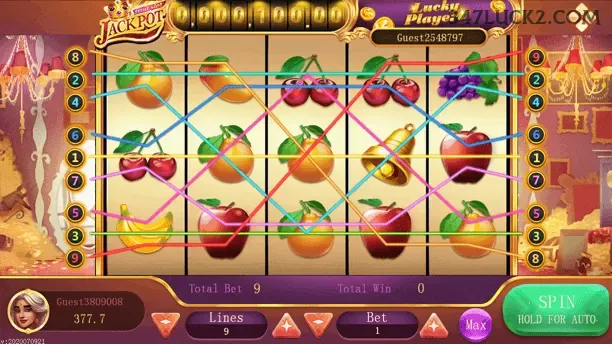 Suporte 347luck